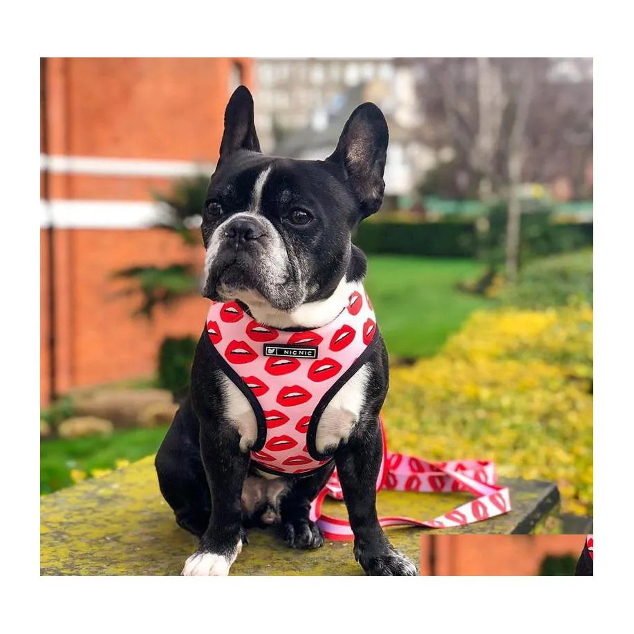 Colliers de chien Laisses Harnais pour animaux de compagnie Ensemble de laisse pour petits chiens moyens Rosy Lip Frenchie Pug Lèvres rouges Gilet Acessorios 0622 Drop Delivery Ot3Mw