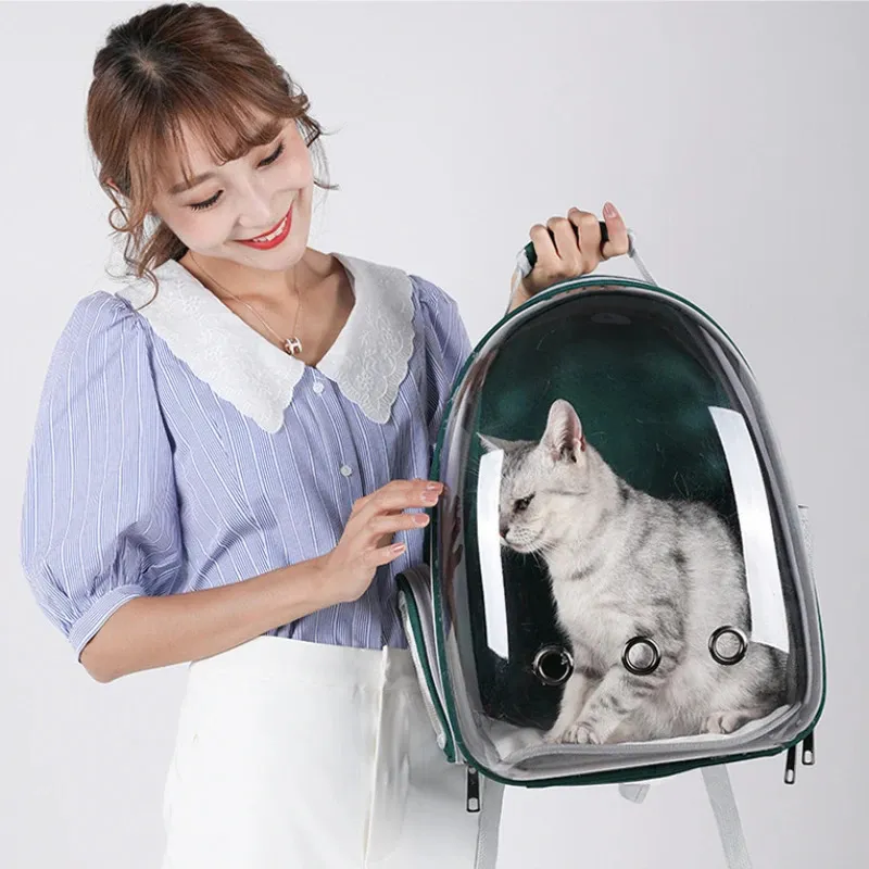 Dog For Cat Cats Backpack Bag S And Rollers Transport Cats 231110 From