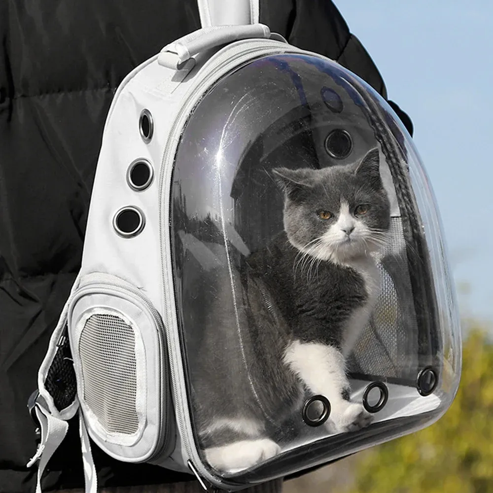 Sac de Transport pour animaux de compagnie, Cage à capsules spatiales de voyage pour chien, respirant 231110