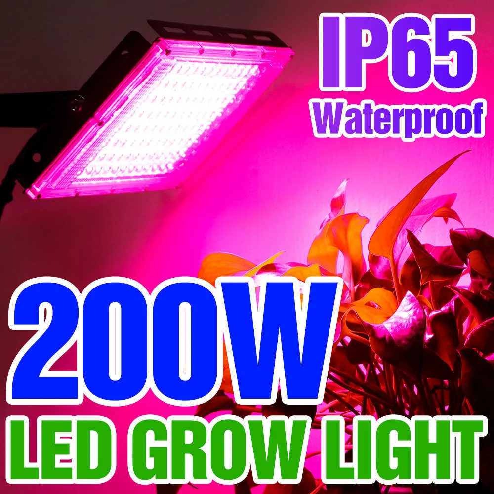 Grow Lights Phytolamp for Plants Light 200W LED GROW Light Phyto Lamp Full Spectrum Bulb Hydroponic Lamp Greenhouse Flower Seed Grow Tent P230413
