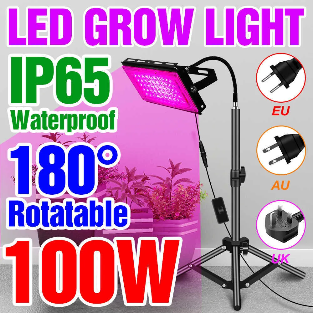 Grow Lights Full Spectrum LED Phytolamp Indoor Plants Grow Lights Semis Fleur Serre Tentes Hydroponique Led Culture Croissance Lumière P230413