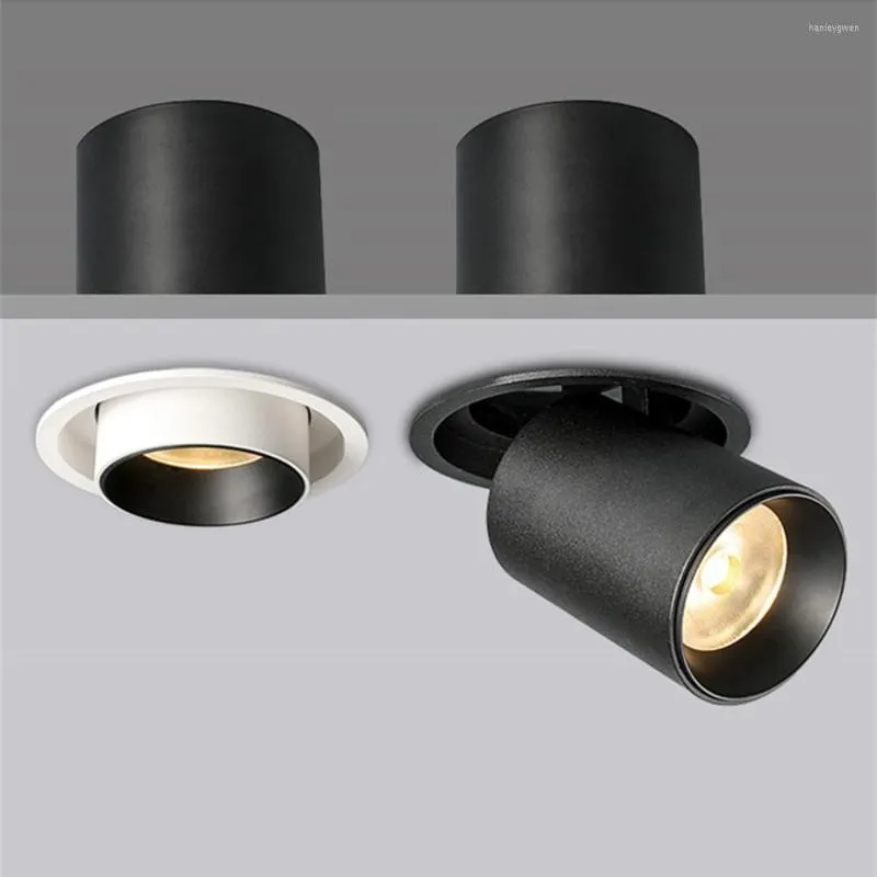 Plafonniers Extensible Encastré Downlight Simple/Double Tête Led Rotatif Spot Lampe Pour Salon Restaurant