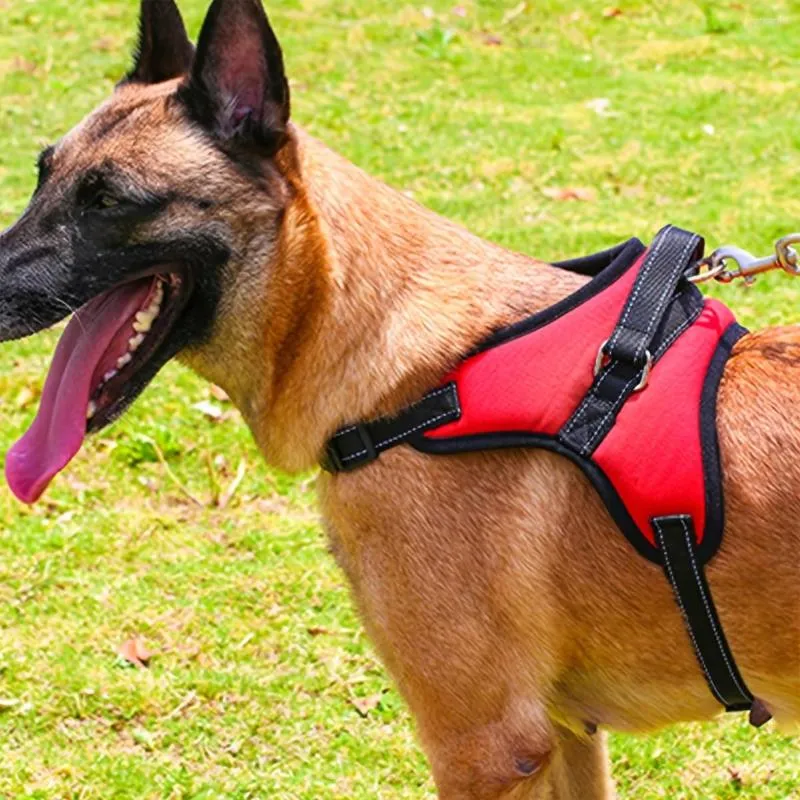 Colliers pour chiens, harnais de poitrine antidéflagrant de type selle pour chiens moyens et grands