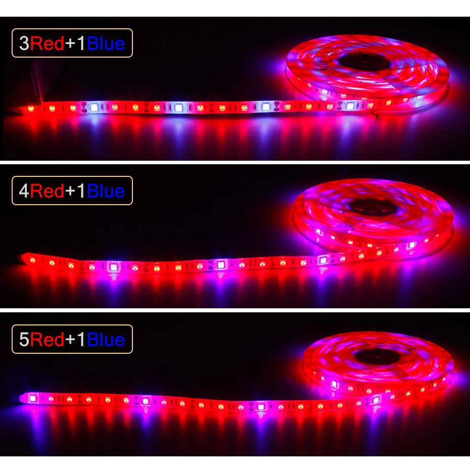 Luzes de cultivo de espectro completo LED Grow Light 5050 CHIP 12V PARA PLANTA GREENHOUSE HIDIDOPÍSICA CRESCENDO DE PLANTA DE FLOR PLANTAS Lâmpadas de crescimento+adaptador de energia P230413