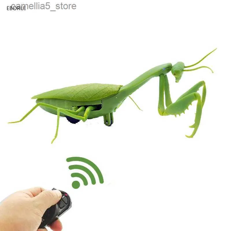 RC Mantis Toy: Mini Infrared Remote Control Animal Bug - Electric Toy  Vehicle for Kids, Fun Birthday & Christmas Gifts from Dhgate Electric/RC  Animals - price 13.04