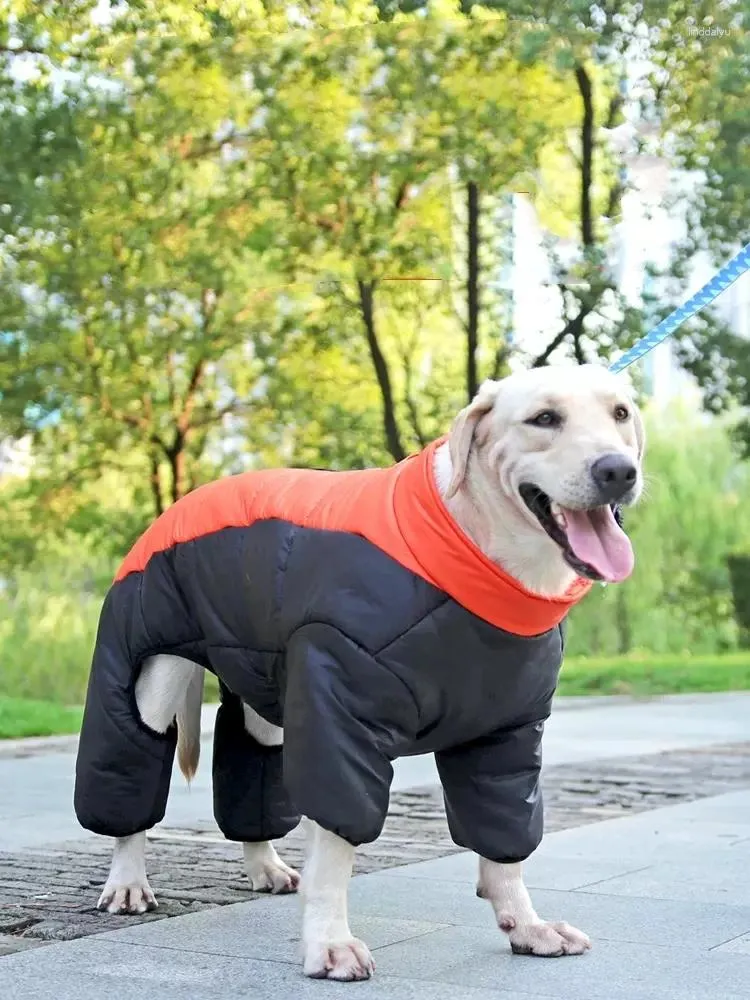 Abbigliamento per cani Labrador Abbigliamento a quattro zampe Taglia media e grande con pelo dorato in cotone ispessito per animali domestici Husky invernale