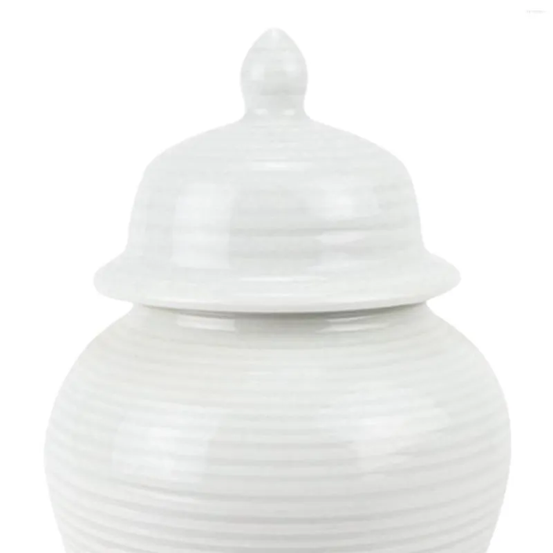 Bouteilles de stockage Collection de pots de gingembre en porcelaine chinoise Vase en céramique Maison Salon