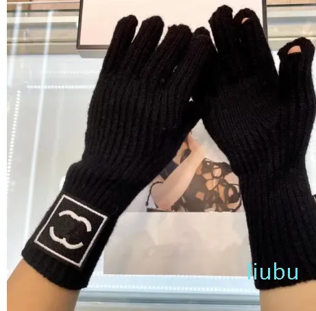 Luxury Windproof Warm Top Quality Wool Knit Gloves Mittens For Women Winter Wool Mitten Thick Warm Cycling Driving Touch Screen Fleece