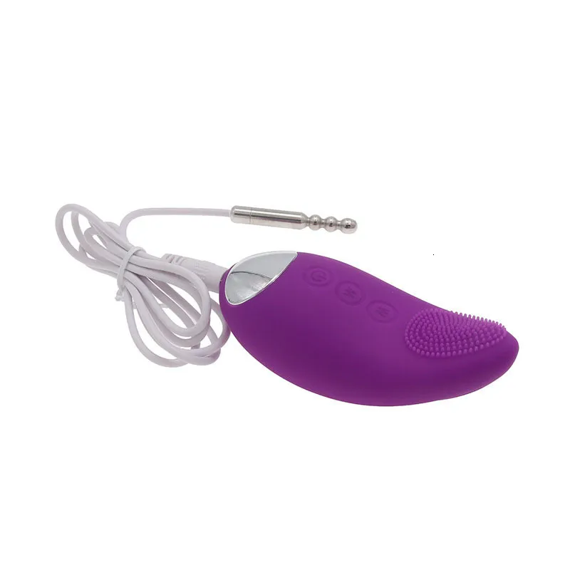 Vibrateur Urétral En Acier Inoxydable Avec 10 Modes De Vibration_voghion.com