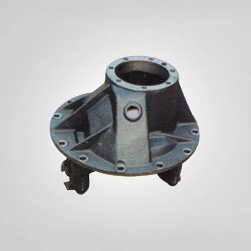 Rear Axle Differential Housing For Automotive Transmission System Main