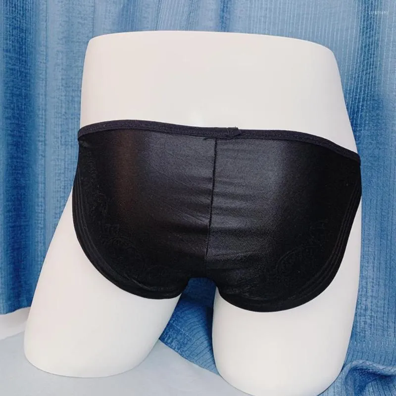 Underpants Sexy Mens Briefs Mesh See Through Pouch Low Rise Men's Swim Lingerie Slip Hombre Underwear Gays Clothes