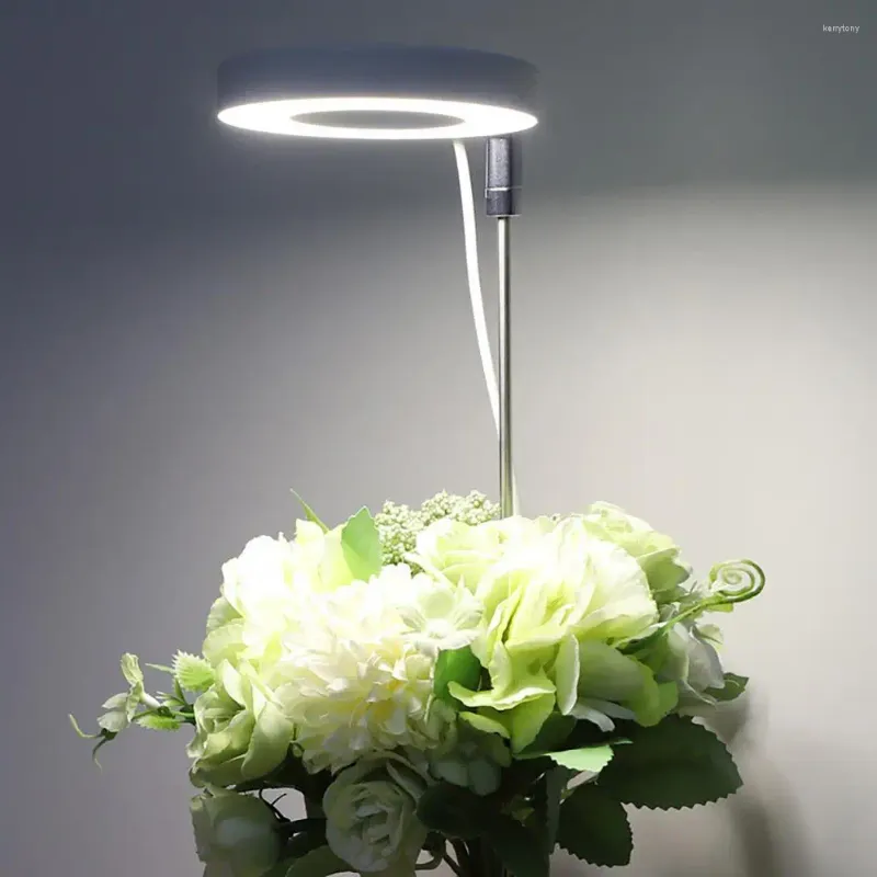 Cultiver des lumières plante lumière intérieure économe en énergie Led à spectre complet pour les plantes de bonsaï de fleurs large gamme d'éclairage