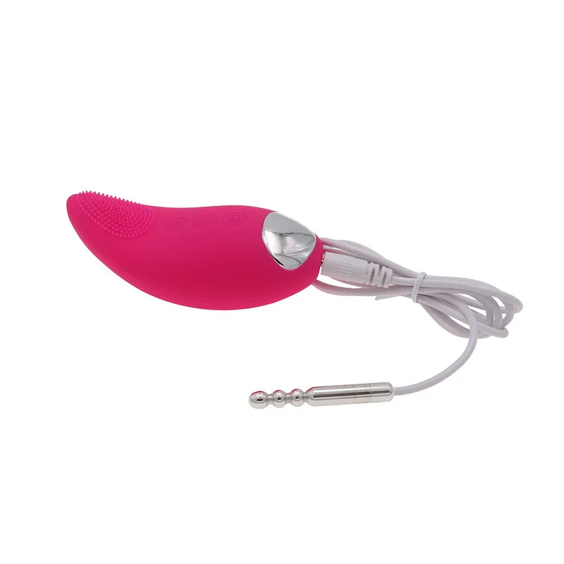 Vibrateur Urétral En Acier Inoxydable Avec 10 Modes De Vibration_voghion.com