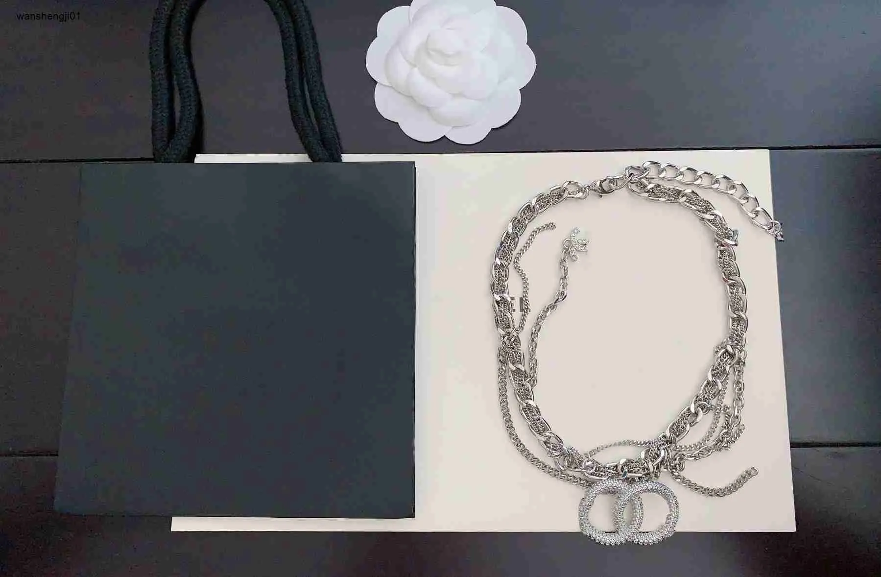 Luksusowy naszyjnik Kobiet Naszyjnik mężczyźni Choker Designer Biżuteria do biżuterii dla kobiet Letter Logo Girl Girl Dift 14 listopada gorąca