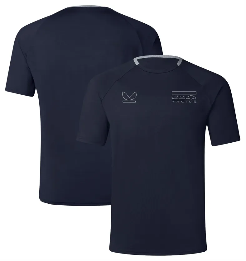 2023 New F1 Racing T-shirt Team Short-sleeved Lapel POLO Shirt Custom Racing Work Clothes for Men and Women in Summer