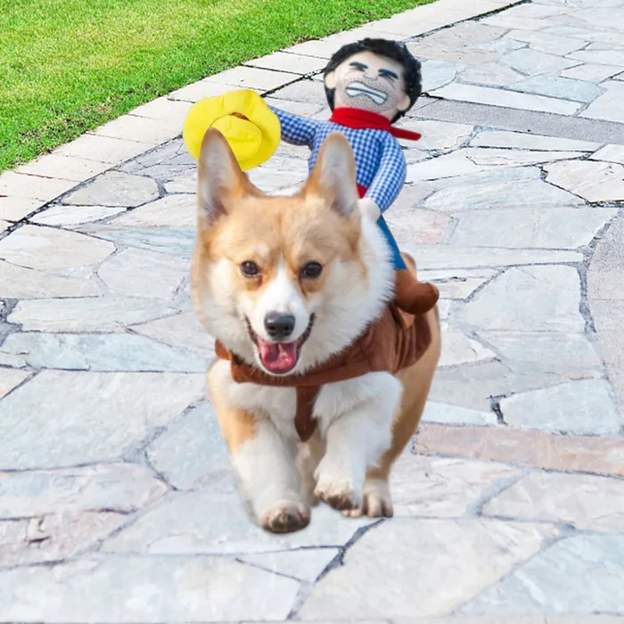 Köpek Giyim Komik Kovboy Rider Kostüm Sabit Şövalye Tarzı Bebek ve Şapka Evcil Hayvan Cadılar Bayramı 230414