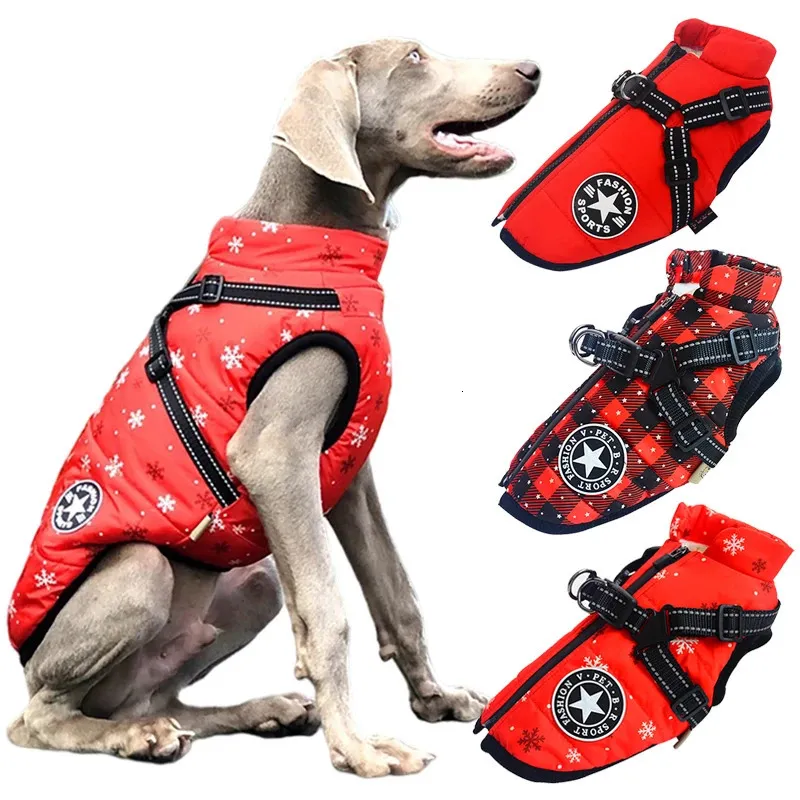 Dog on sale sports apparel