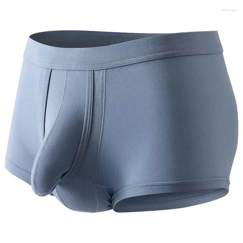 Sous-vêtements sexy éléphant tronc sous-vêtements pour hommes taille basse respirant absorbant la peau douce shorts quatre saisons boxeurs de séparation