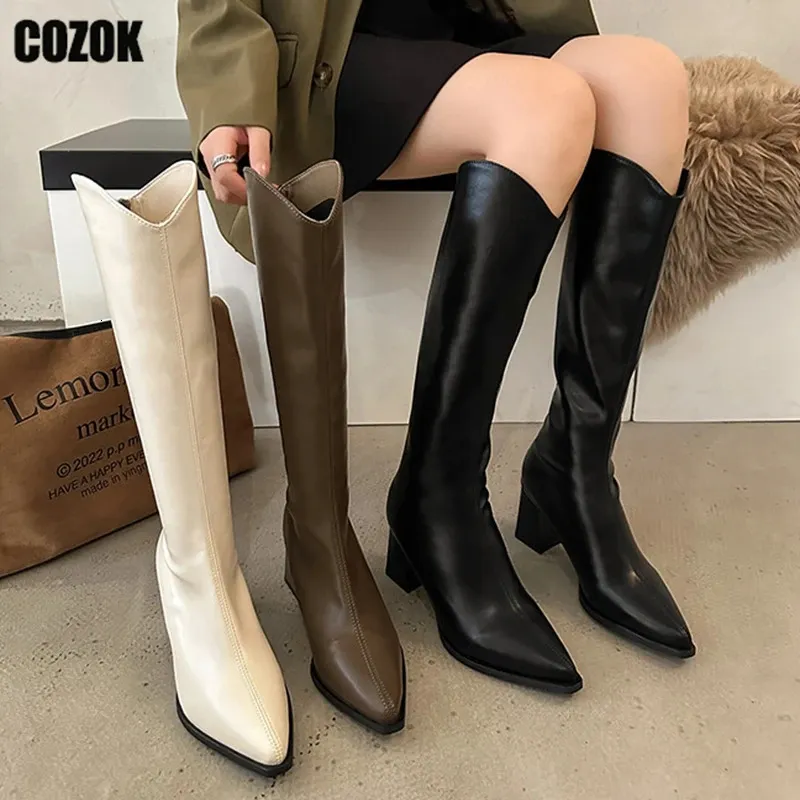 Bottes Bout pointu femmes genou bottes hautes automne hiver dames talons épais pompes mode élégant botte longue femme chaussures fermeture éclair Chic 231116