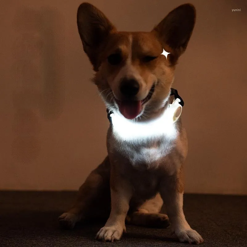 Colarinhos de cachorro colarinho de colarinho colorido luminoso luminosa luz de aviso adequada para segurança de segurança de segurança na noite acessórios de corda
