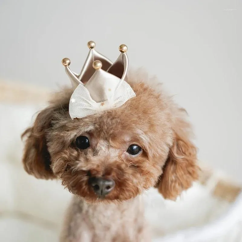 Abbigliamento per cani Mini corona di compleanno Cappello per gatti per animali Accessori carini Fermagli per capelli Aprty Cosplay Forniture per toelettatura gattini