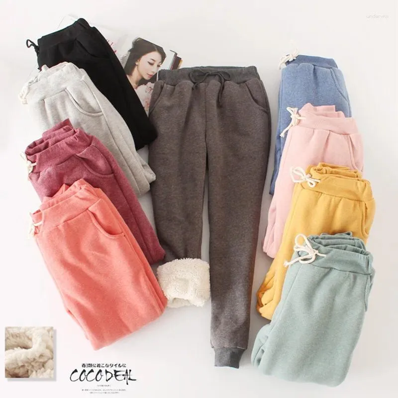 Men's Pants Winter Lamb Plush Thickened Sports Small Feet Casual Loose Harlem Large Cotton Long Women