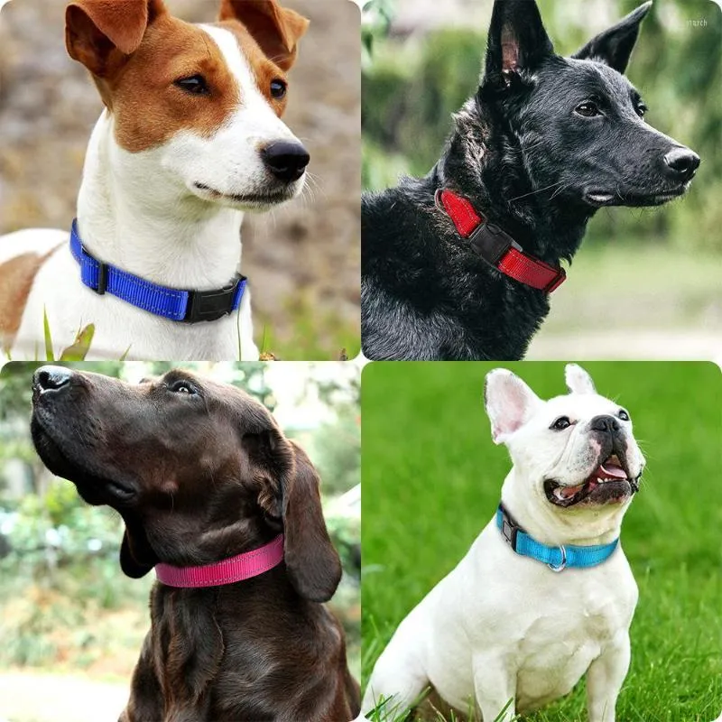 Colliers pour chiens Couleurs Réfléchissant Breakaway Chat Collier Cou Anneau Collier Cloche Pet Produits Sécurité Élastique Réglable Avec Matériau Souple 1PC