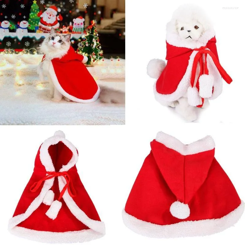 Cat Costumes Cosplay Cat/Dog Halloween Rolig klädklapp klä upp Pet Christmas Cape