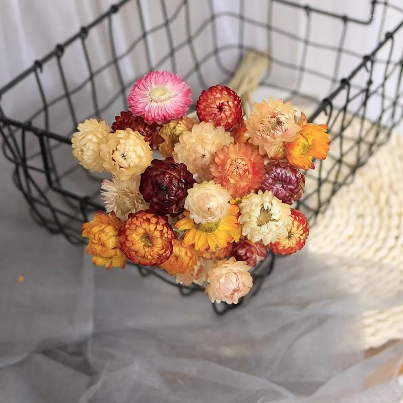 Dried Flowers Wedding Decor Rose Daisies Dried Natural Real Flower