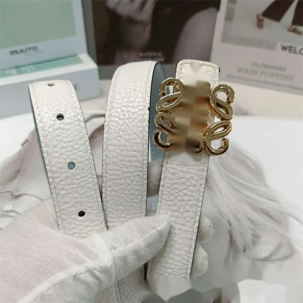 Lowewe ceintures concepteur de luxe classique haut tendance qualité motif coloré boucle avec des ceintures de jupe de mode simples