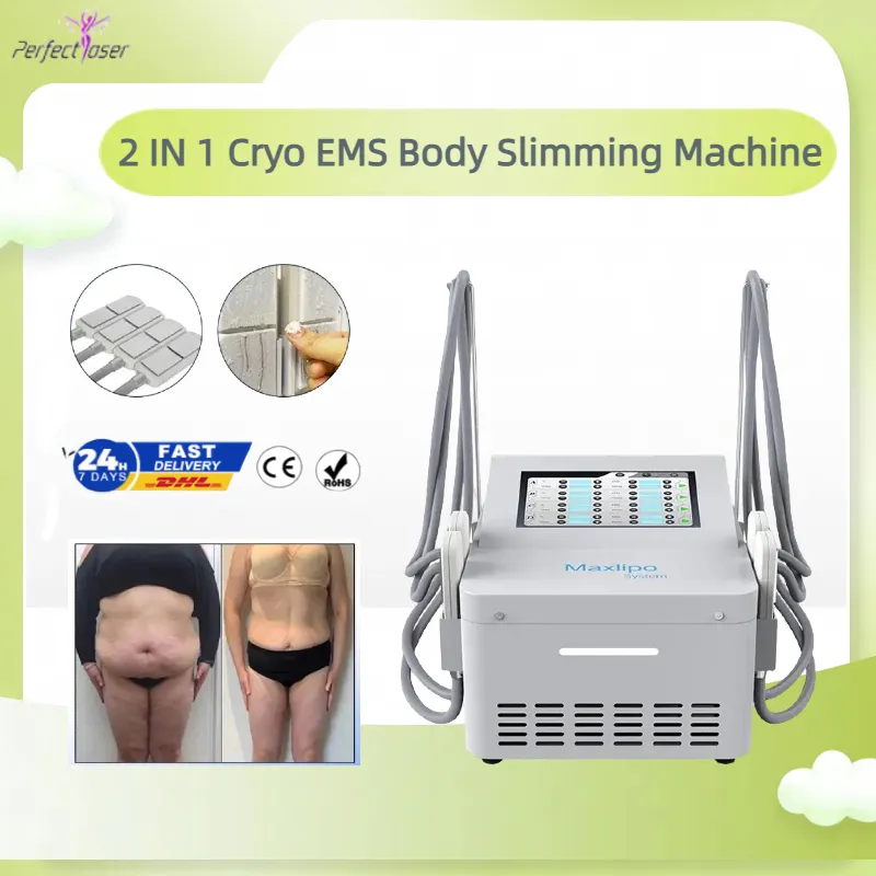 Machine amincissante de cryolipolyse, certificat CE, dispositif d'élimination de la Cellulite EMS, équipement de réduction des graisses, 4 plaques de refroidissement