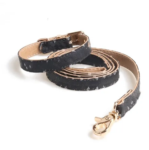 Nouveau collier pour animaux de compagnie Style Pu collier de chien classique main tenant la corde en gros
