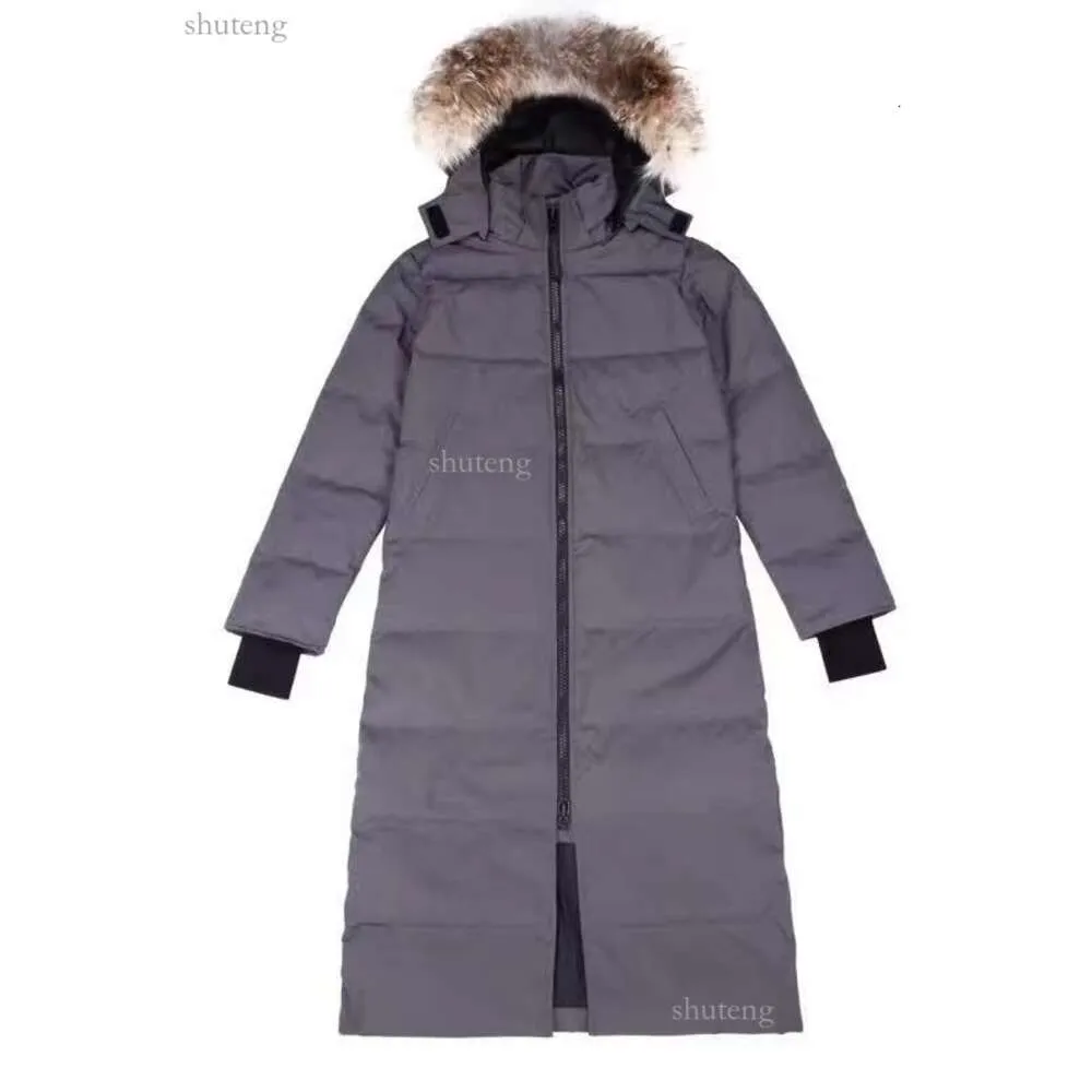 Designer Women Canadian Goose Mid Length Version Puffer Womens Jacket Down Parkas Winter Thick Warm Coats Windproect Streetwear 407