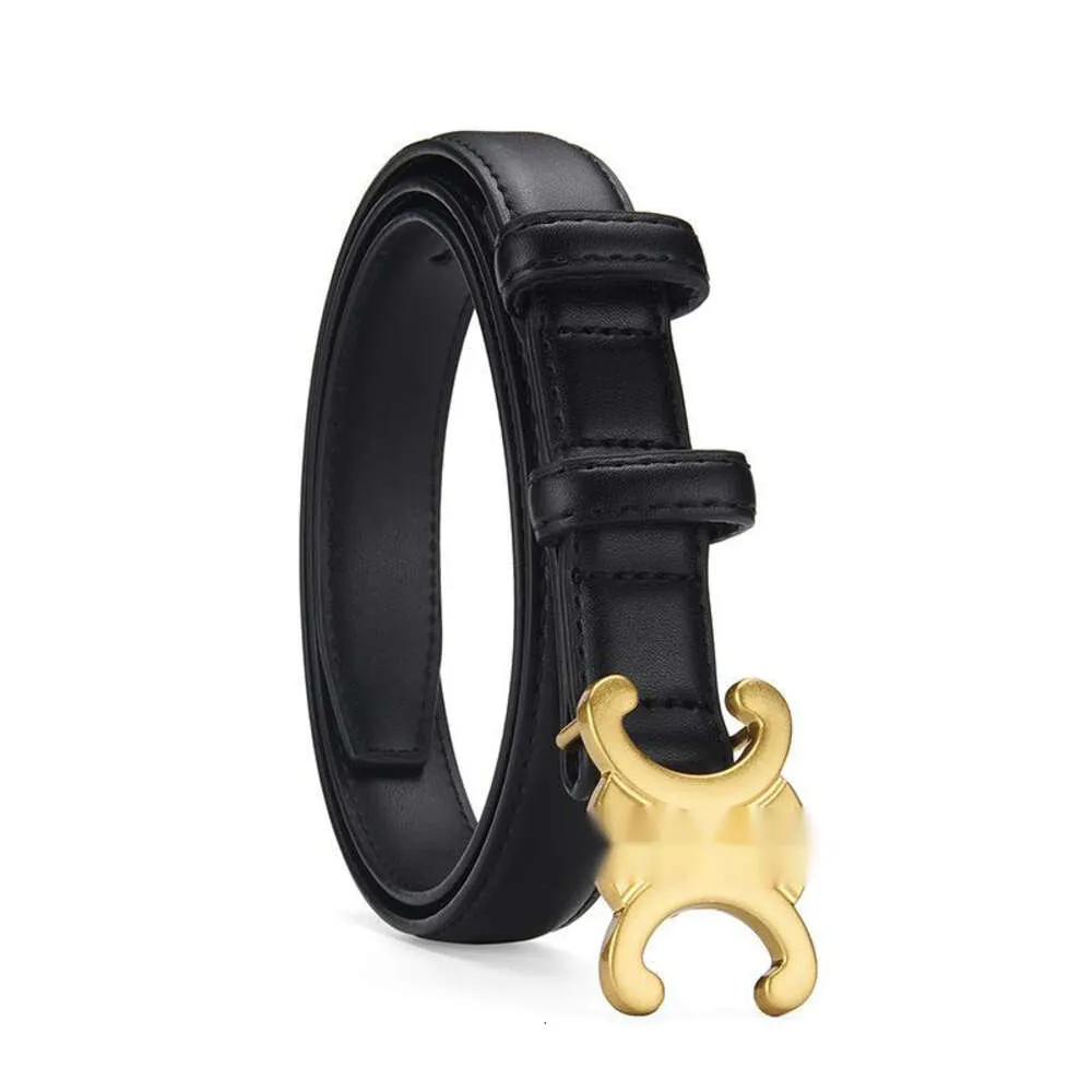 Clne Belt Classic Luxury Top Quality New Double Belt Women&  display picture 3