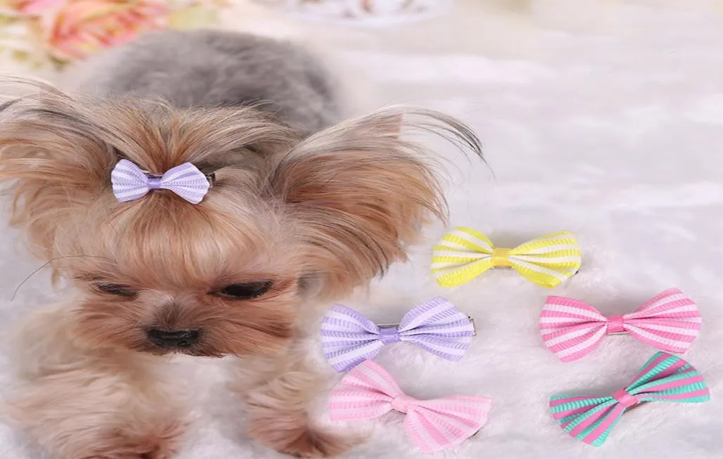 Dog Hair Bows Clip Pet Cat Puppy Grooming Striped Bowls For Hair Accessories Designer 5 Färger Mix WX97786779811