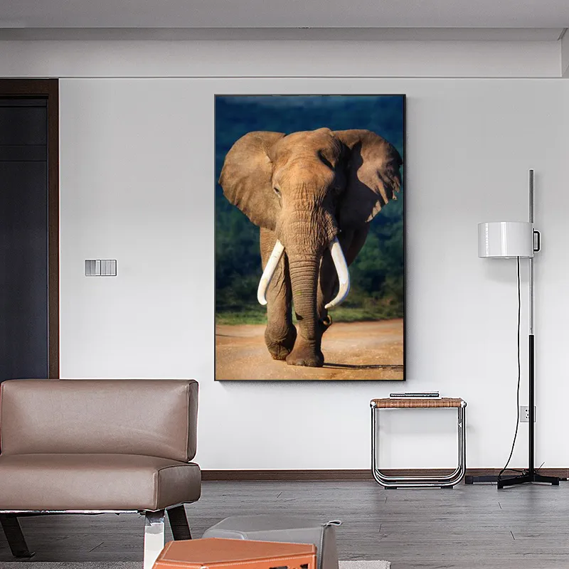 Moderne Wilde Afrikaanse Olifant posters en prints Muur Art Canvas Schilderij Dieren Foto 's Oeg Woonkamer Cuadros Decor No frame