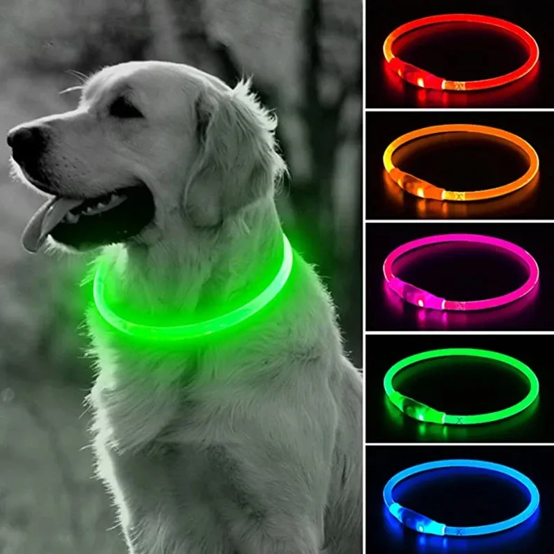 1 pieza Collar para mascota recargable luz LED para perro para anti-perdida, Mode de Mujer