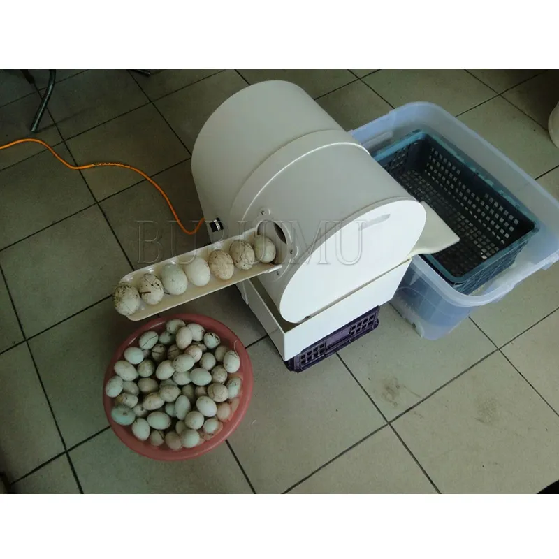 Electric Egg Candy Washing Machine Chicken/Duck/Goose Egg Washer Egg Cleaner  Wash Machine From Lewiao321, $582.92