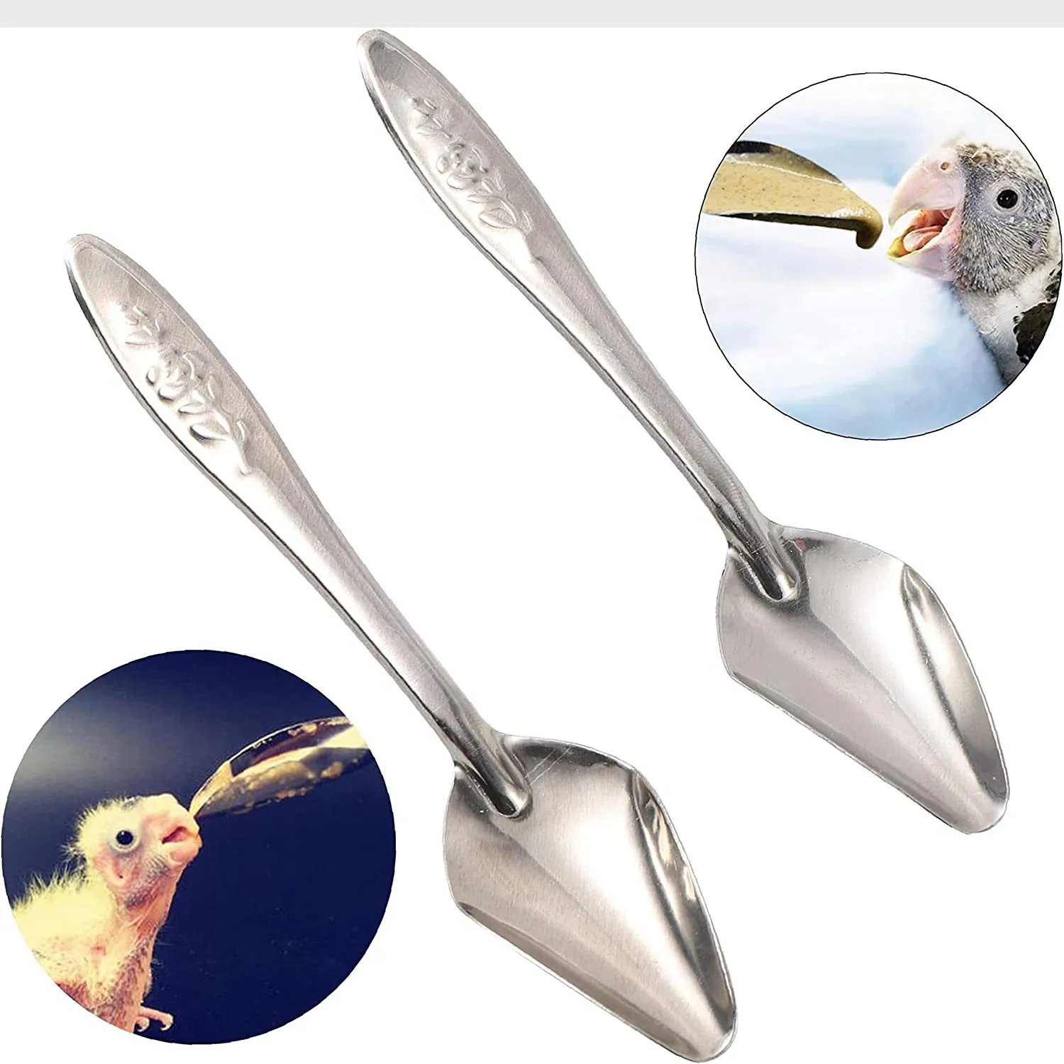 Cuillères d'alimentation pour oiseaux en acier inoxydable, médecine du lait, cuillères d'alimentation pour perroquets XBJK2304