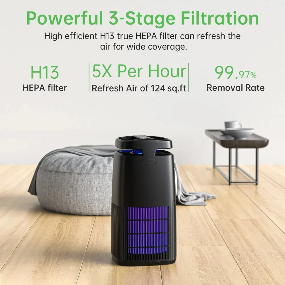 Carb certified air sale purifiers