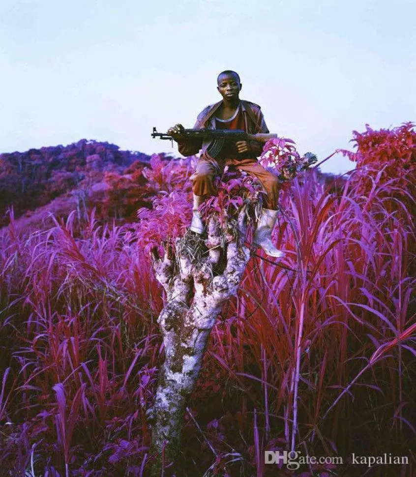 Richard Mosse Infra Higher Ground Art Print Poster 24x36 Art Posters Prints Home Decor Wall Paper 16 24 36 47 pouces 1068433
