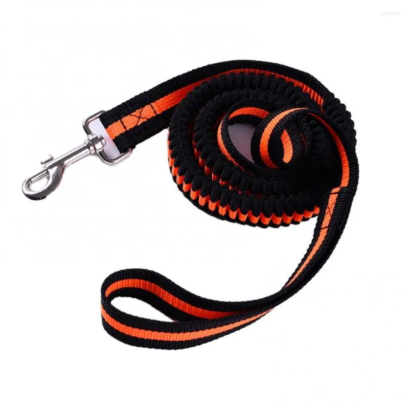 Hundehalsband Geschirr Zugseil Nylon 120cm Running S!!! 1,5 cm x bunte Brust-Hundeleine