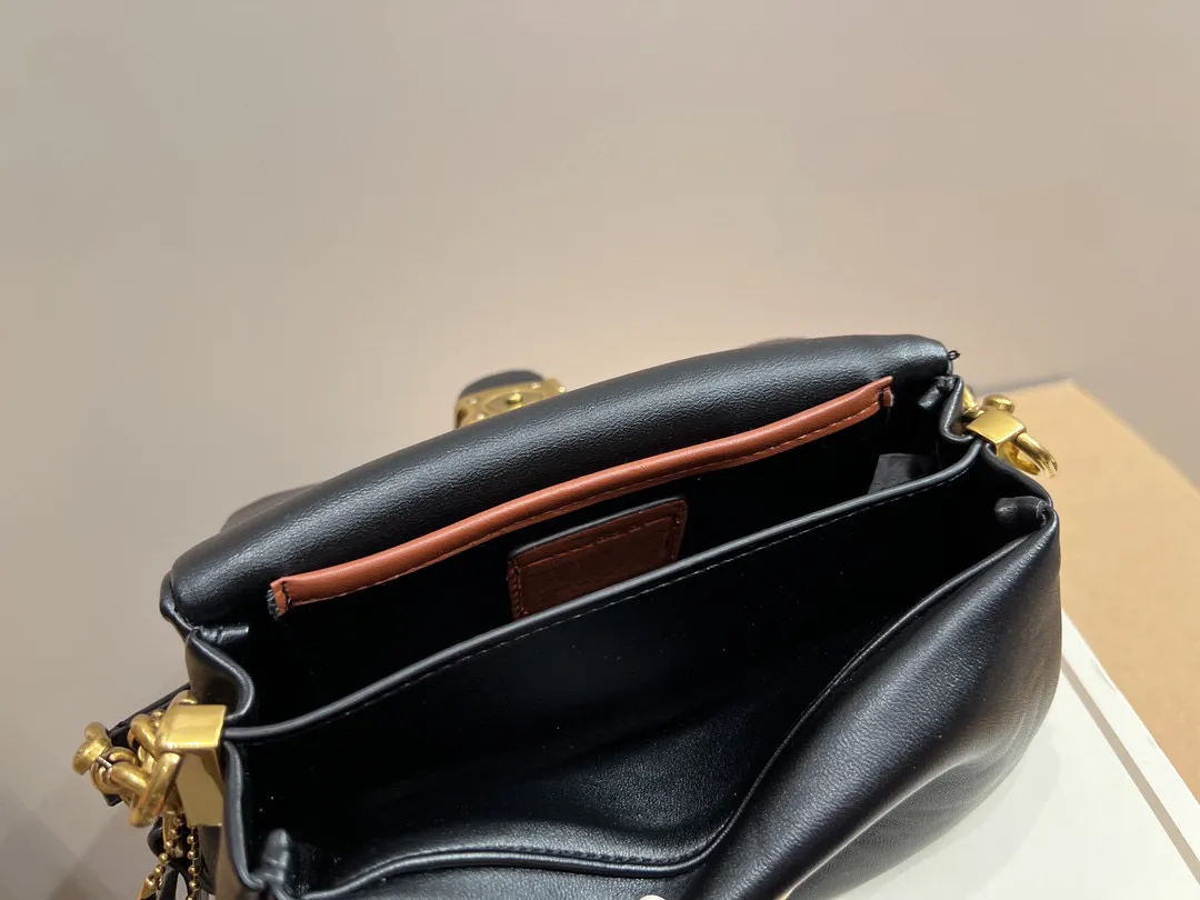 Fashionable TABBY Cloud Bag Women`s Shoulder Bag Fluffy Genuine Leather Magnetic Snap Closure Classic Flip Bag Luxury Designer C Logo ID luxury_bag1588