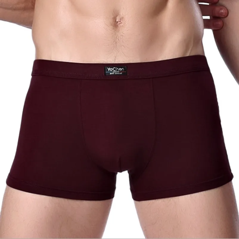 Onderbroek bamboe mannelijk slipje sexy ondergoed mannen cuecas bokser mode bokser shorts heren onderwerk 4pcslot 230418