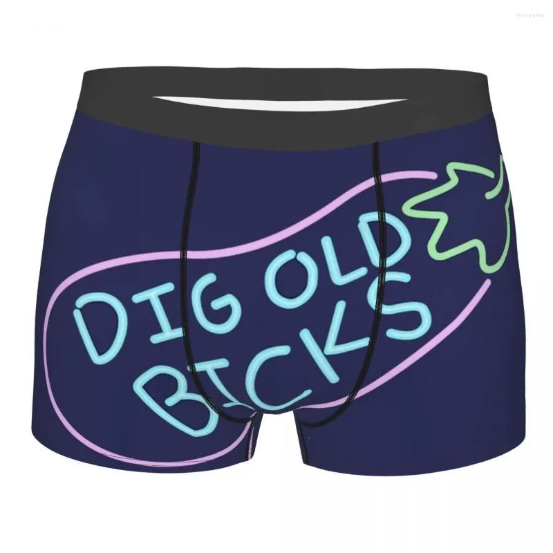 Underpants Dig Old Bicks Men Boxer Briefs Otter Pet Lover Breathable Funny Underwear Top Quality Print Shorts Gift Idea