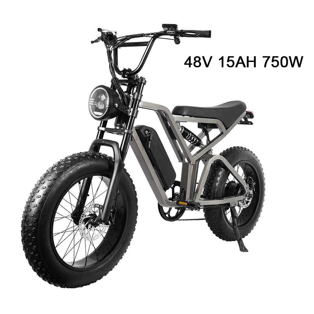 750W MOTOR Electric Bicycle 48V 15Ah Electric Bike Lithium Battery 20 tum 4,0 Fat Däck Retro E-Bike Beach Snow Bike