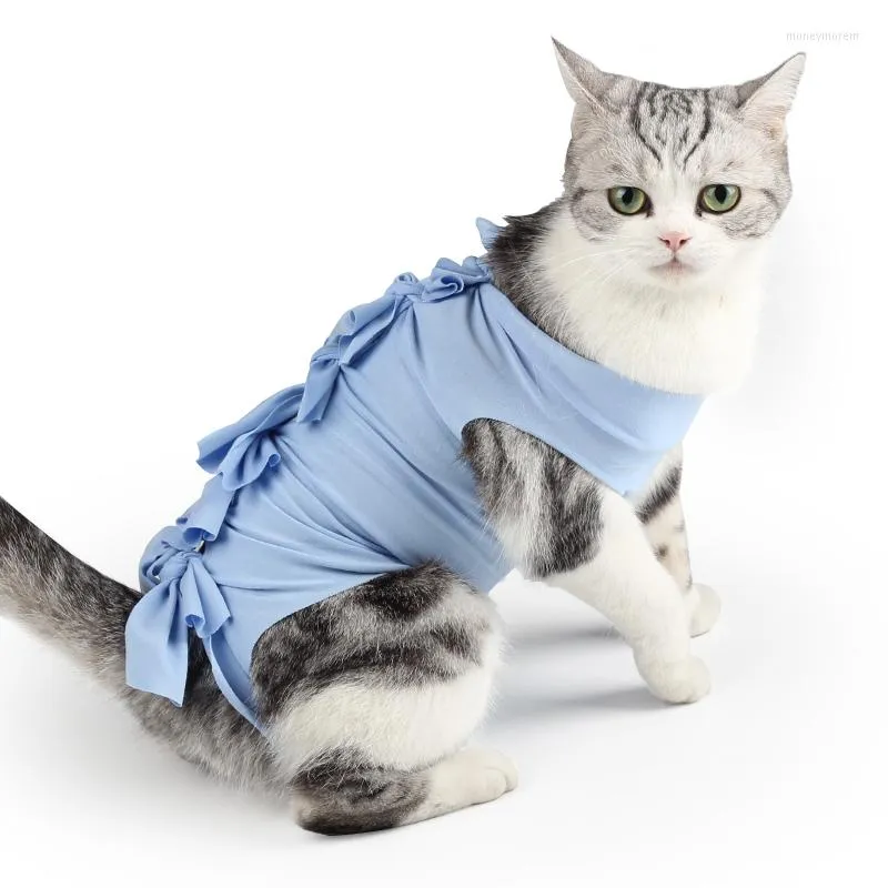 Katzenkostüme Kleidung Sterilisation Postoperative Kleidung Ropa Gato Kätzchenweste Wiederherstellungsschutzanzug Zubehör Rehabilitation