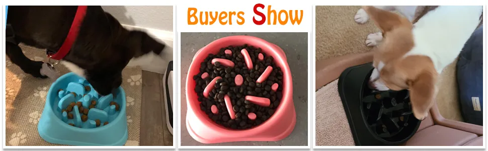 buyer show about the slow eating dog bowls