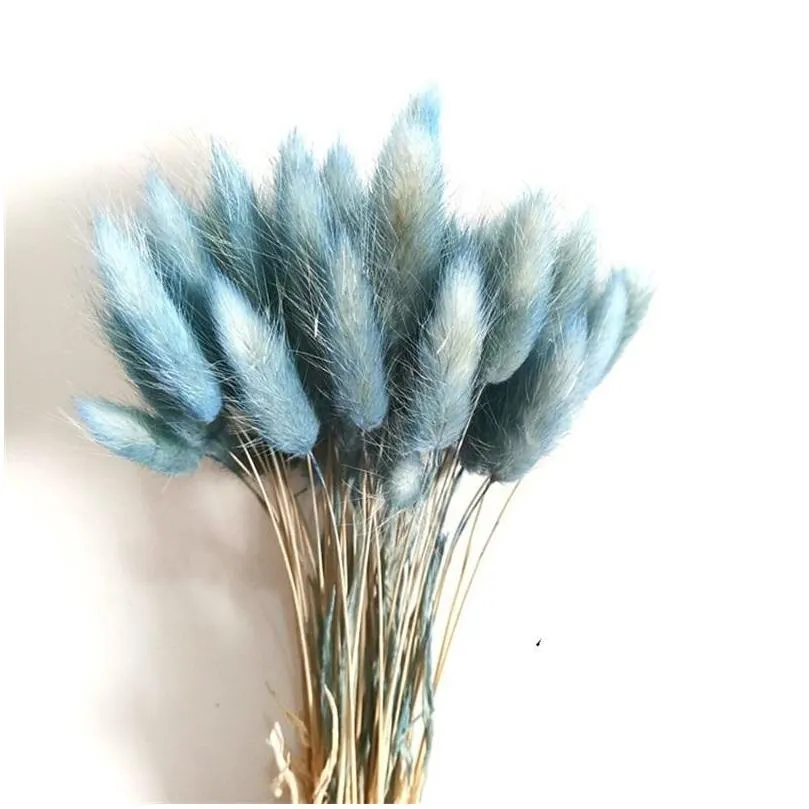 hare tail grass dried flower home decoration kitchen living room colorful bouquet diy a bunch of 10 branches new arrival 4kn