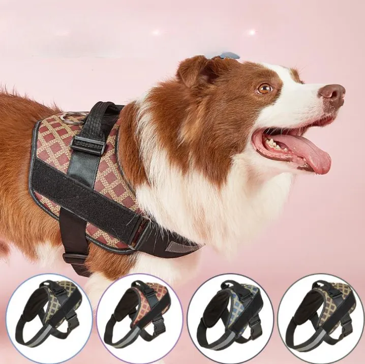 Nouvelles fournitures pour animaux de compagnie Sangle de poitrine pour chien Main tenant la corde Gilet-Style Grands, moyens et petits chiens sur la poitrine et le dos